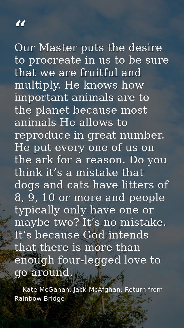 Our Master puts the desire to procreate in us to be sure that we are fruitful and multiply. He knows how important anima — Kate McGahan, Jack McAfghan: Return from Rainbow Bridge