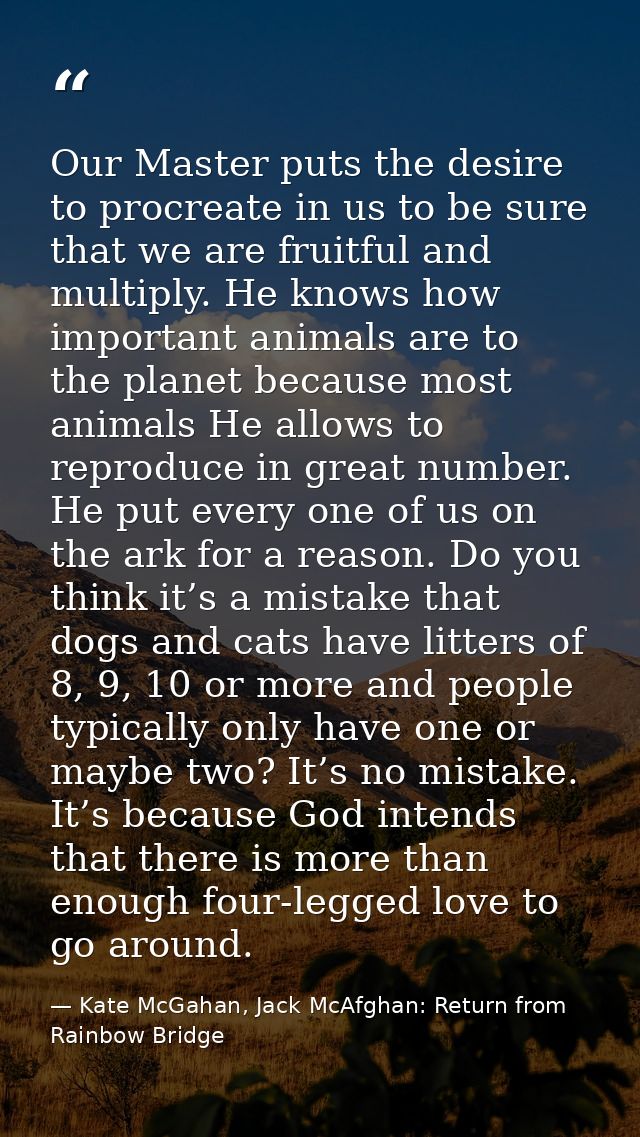 Our Master puts the desire to procreate in us to be sure that we are fruitful and multiply. He knows how important anima — Kate McGahan, Jack McAfghan: Return from Rainbow Bridge