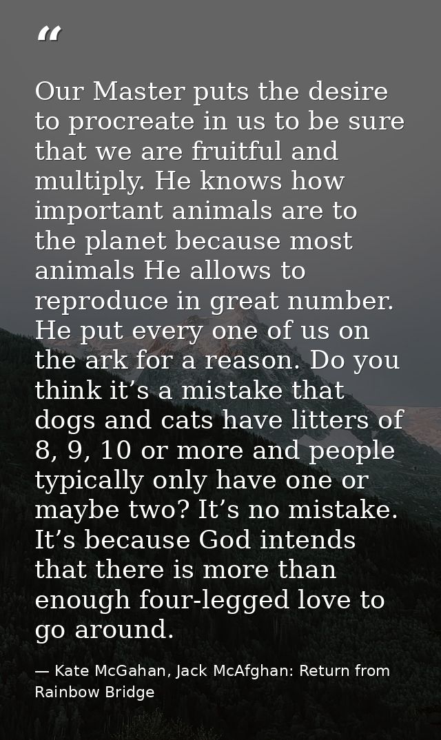 Our Master puts the desire to procreate in us to be sure that we are fruitful and multiply. He knows how important anima — Kate McGahan, Jack McAfghan: Return from Rainbow Bridge