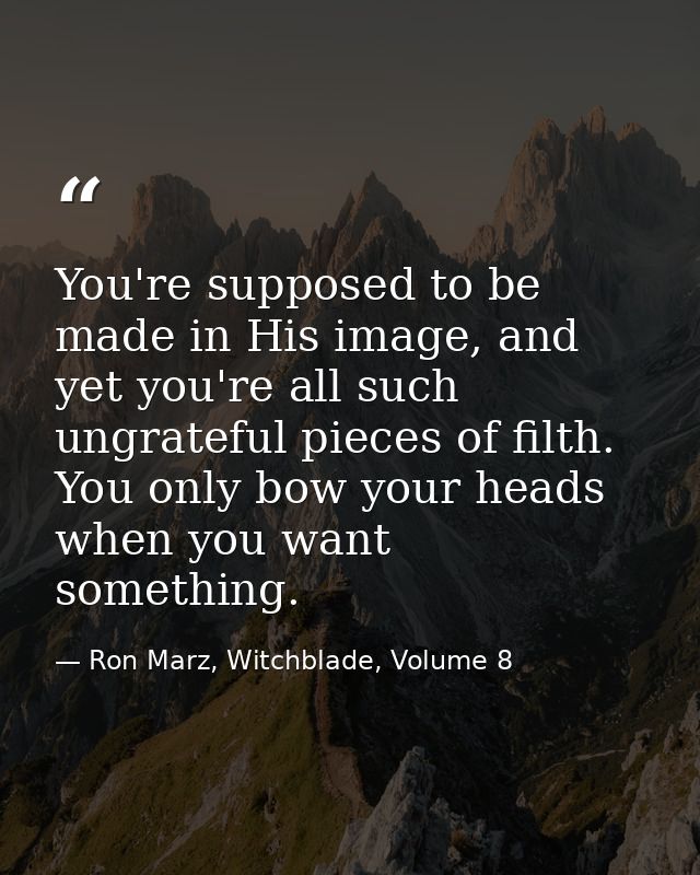 You're supposed to be made in His image, and yet you're all such ungrateful pieces of filth. You only bow your heads whe — Ron Marz, Witchblade, Volume 8