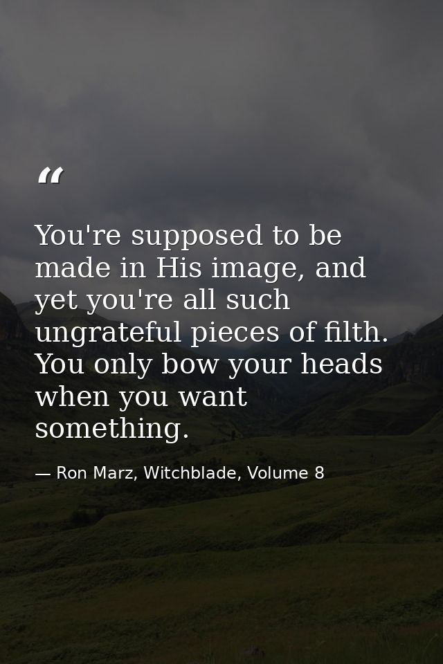 You're supposed to be made in His image, and yet you're all such ungrateful pieces of filth. You only bow your heads whe — Ron Marz, Witchblade, Volume 8