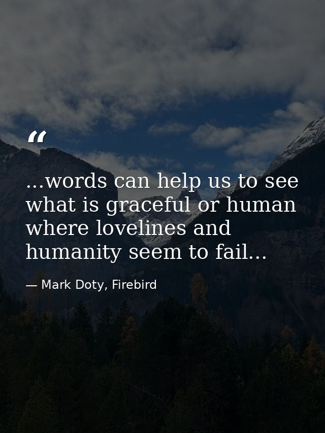 ...words can help us to see what is graceful or human where lovelines and humanity seem to fail... — Mark Doty, Firebird