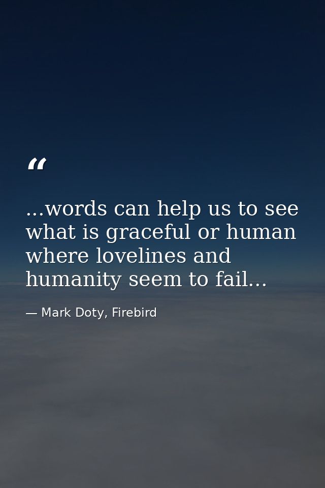 ...words can help us to see what is graceful or human where lovelines and humanity seem to fail... — Mark Doty, Firebird
