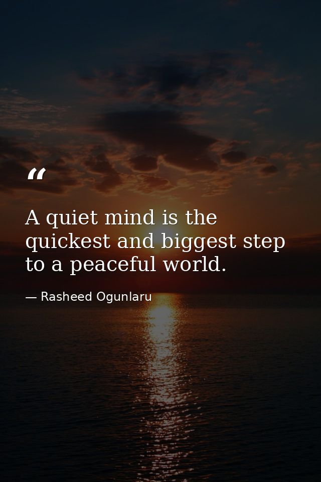 A quiet mind is the quickest and biggest step to a peaceful world. — Rasheed Ogunlaru