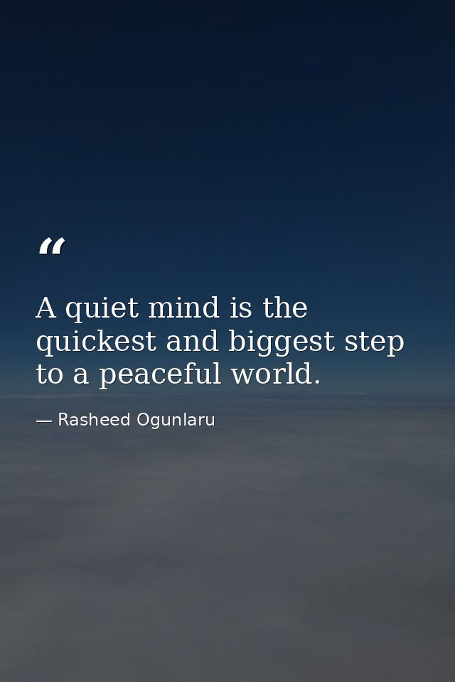 A quiet mind is the quickest and biggest step to a peaceful world. — Rasheed Ogunlaru