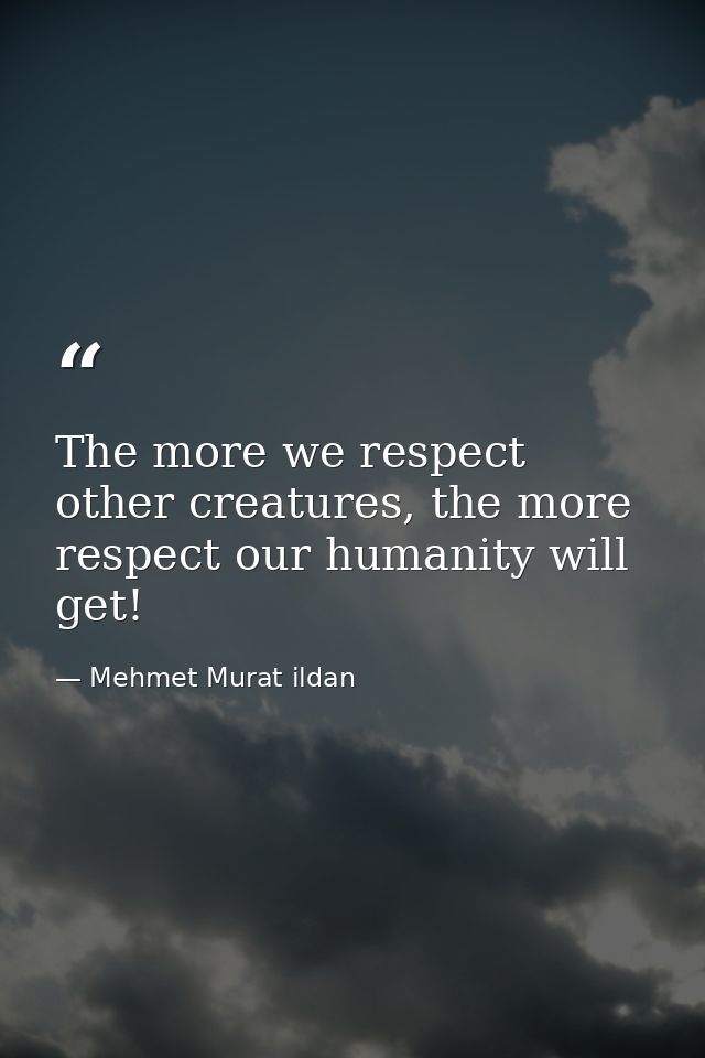 The more we respect other creatures, the more respect our humanity will get! — Mehmet Murat ildan