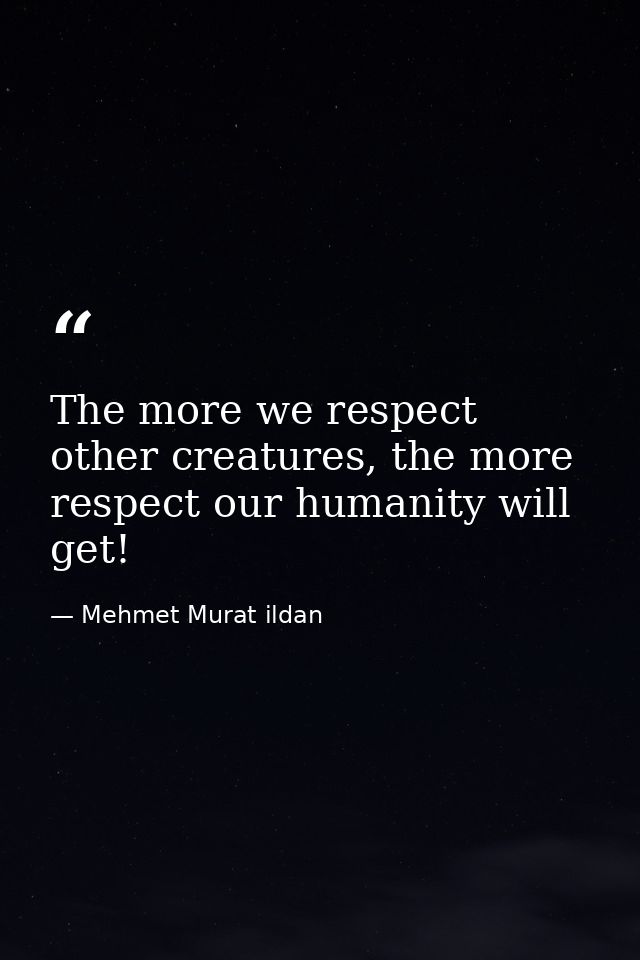 The more we respect other creatures, the more respect our humanity will get! — Mehmet Murat ildan