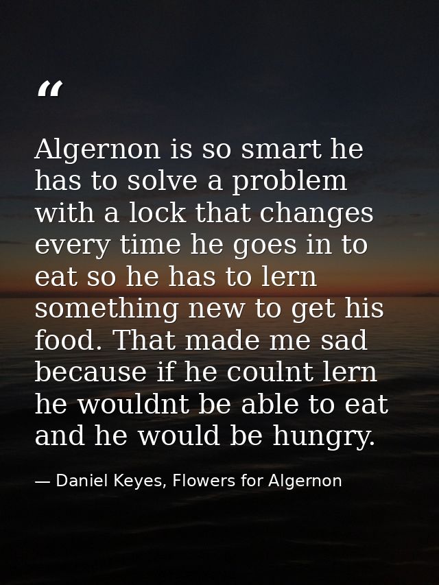 Algernon is so smart he has to solve a problem with a lock that changes every time he goes in to eat so he has to lern s — Daniel Keyes, Flowers for Algernon