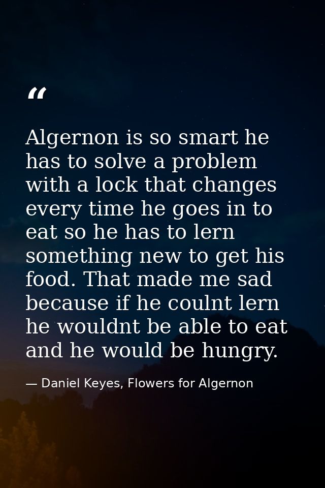 Algernon is so smart he has to solve a problem with a lock that changes every time he goes in to eat so he has to lern s — Daniel Keyes, Flowers for Algernon