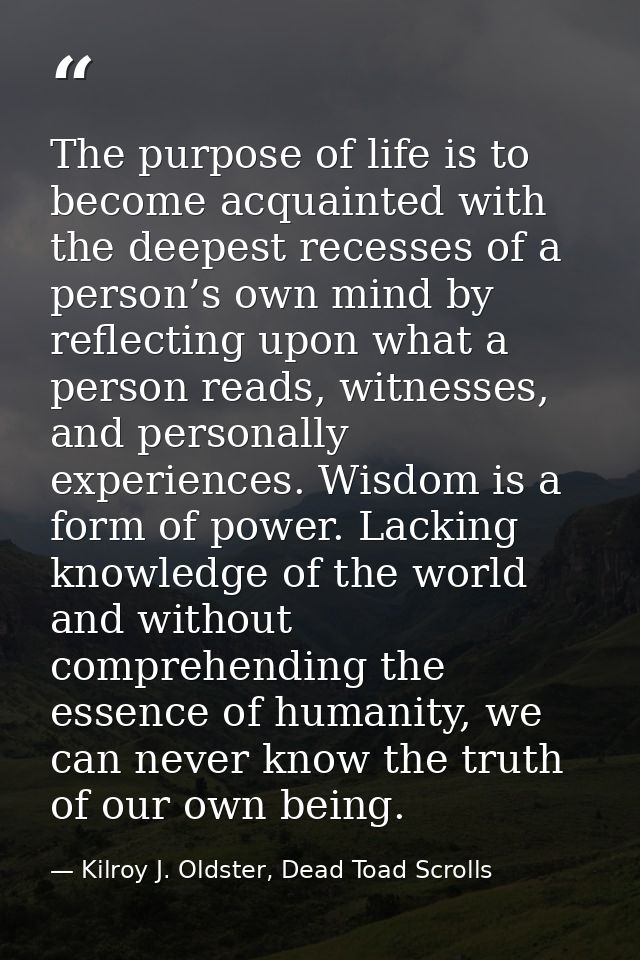 The purpose of life is to become acquainted with the deepest recesses of a person’s own mind by reflecting upon what a p — Kilroy J. Oldster, Dead Toad Scrolls