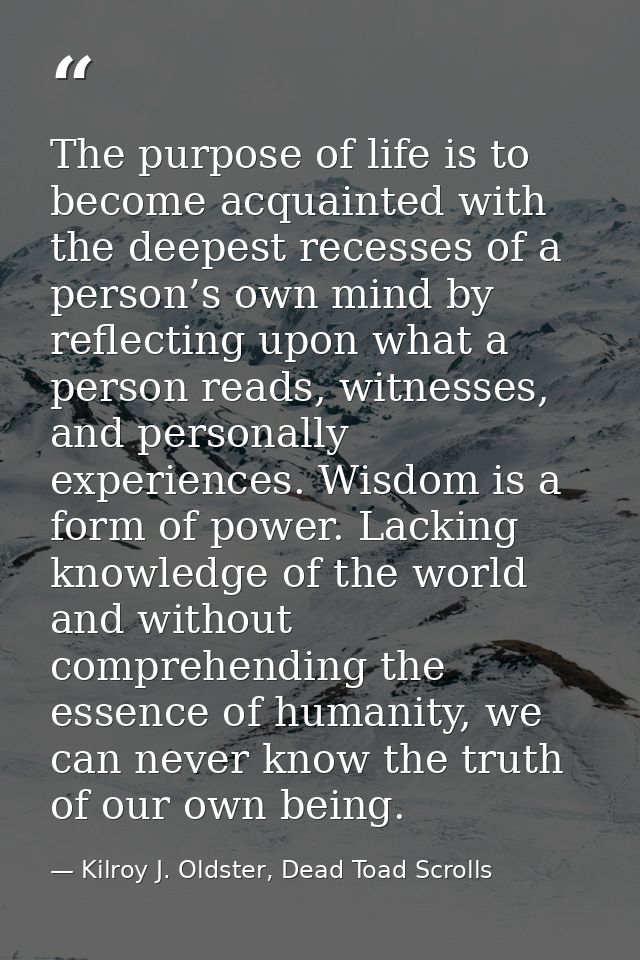 The purpose of life is to become acquainted with the deepest recesses of a person’s own mind by reflecting upon what a p — Kilroy J. Oldster, Dead Toad Scrolls