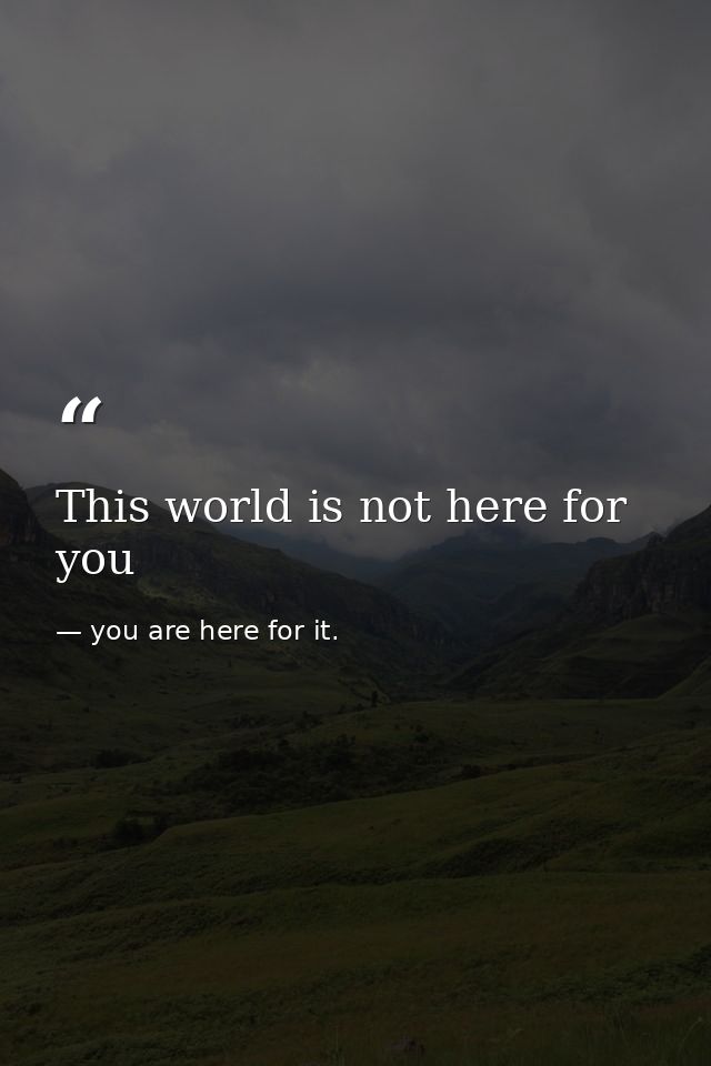 This world is not here for you — you are here for it.