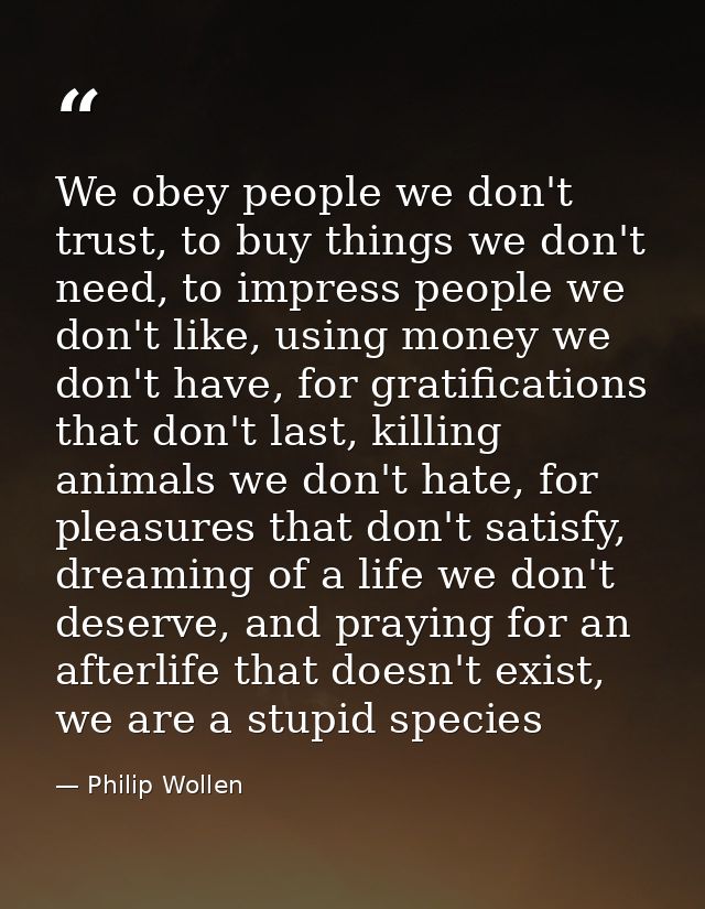 We obey people we don't trust, to buy things we don't need, to impress people we don't like, using money we don't have,  — Philip Wollen