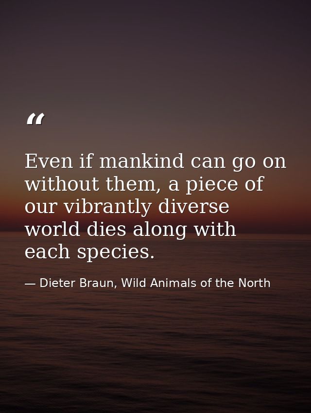 Even if mankind can go on without them, a piece of our vibrantly diverse world dies along with each species. — Dieter Braun, Wild Animals of the North