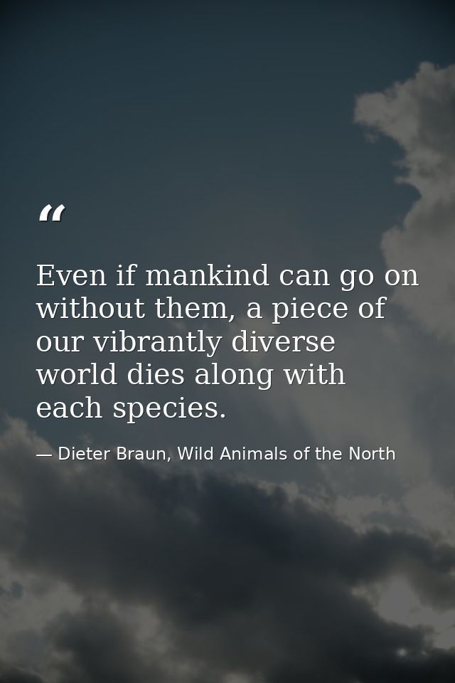 Even if mankind can go on without them, a piece of our vibrantly diverse world dies along with each species. — Dieter Braun, Wild Animals of the North