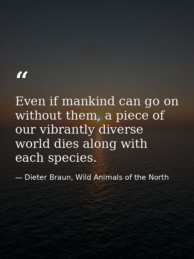 Even if mankind can go on without them, a piece of our vibrantly diverse world dies along with each species. — Dieter Braun, Wild Animals of the North