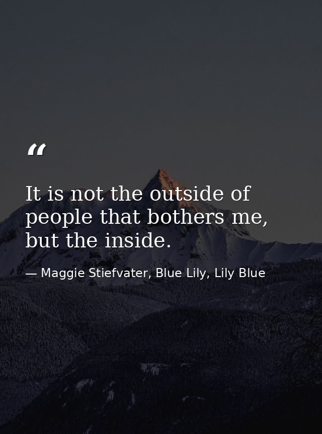 It is not the outside of people that bothers me, but the inside. — Maggie Stiefvater, Blue Lily, Lily Blue
