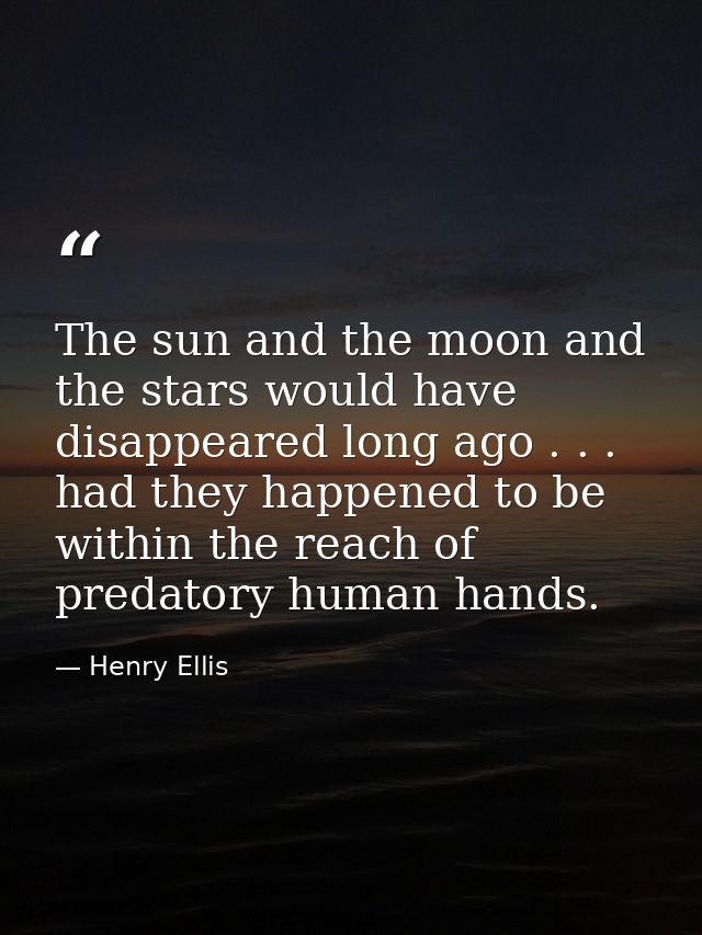 The sun and the moon and the stars would have disappeared long ago . . . had they happened to be within the reach of pre — Henry Ellis