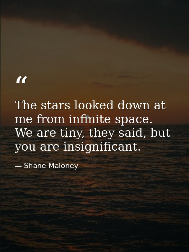 The stars looked down at me from infinite space. We are tiny, they said, but you are insignificant. — Shane Maloney