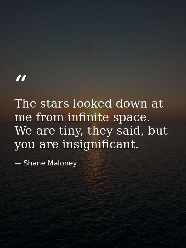 The stars looked down at me from infinite space. We are tiny, they said, but you are insignificant. — Shane Maloney