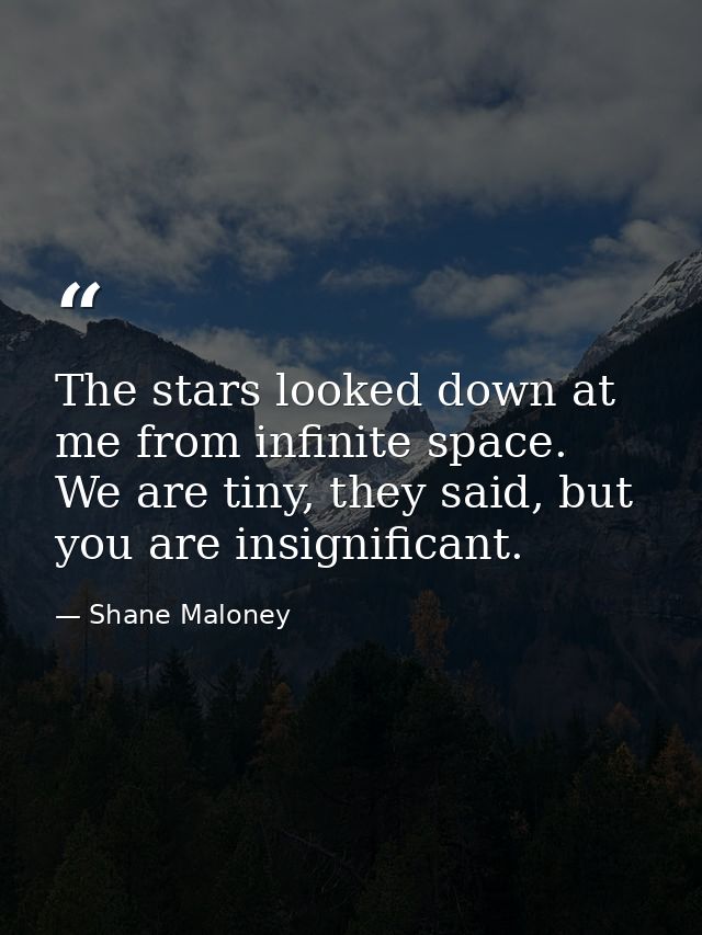 The stars looked down at me from infinite space. We are tiny, they said, but you are insignificant. — Shane Maloney