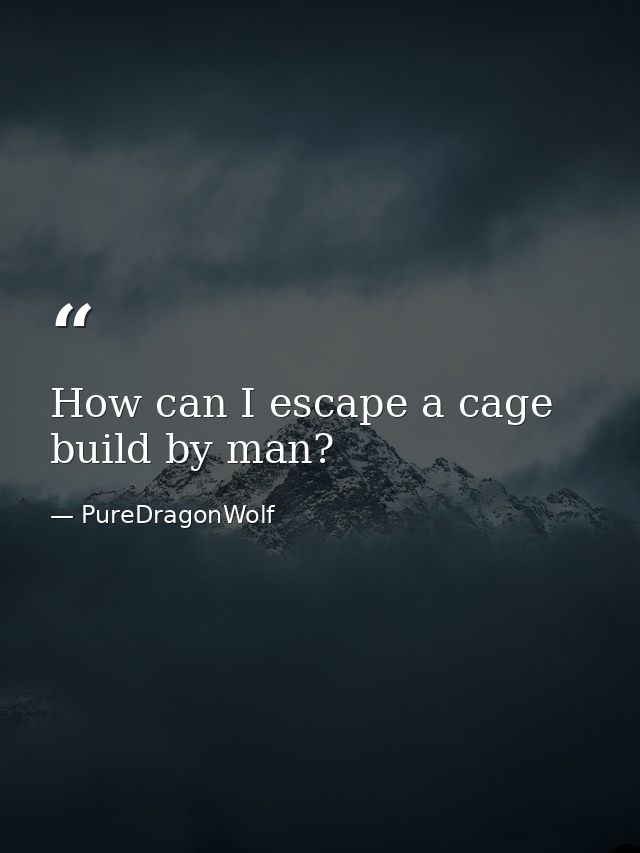 How can I escape a cage build by man? — PureDragonWolf