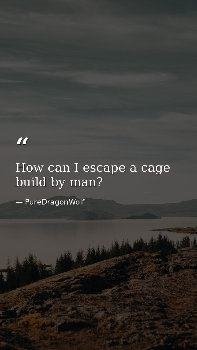 How can I escape a cage build by man? — PureDragonWolf