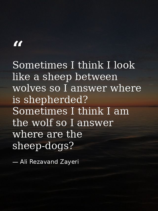 Sometimes I think I look like a sheep between wolves so I answer where is shepherded? Sometimes I think I am the wolf so — Ali Rezavand Zayeri