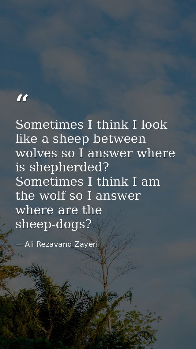 Sometimes I think I look like a sheep between wolves so I answer where is shepherded? Sometimes I think I am the wolf so — Ali Rezavand Zayeri