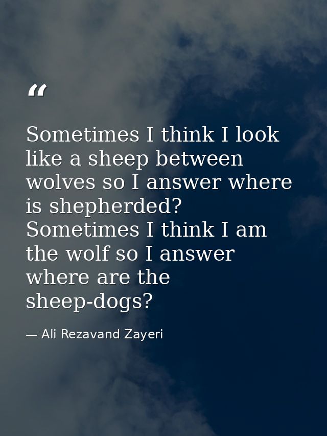 Sometimes I think I look like a sheep between wolves so I answer where is shepherded? Sometimes I think I am the wolf so — Ali Rezavand Zayeri