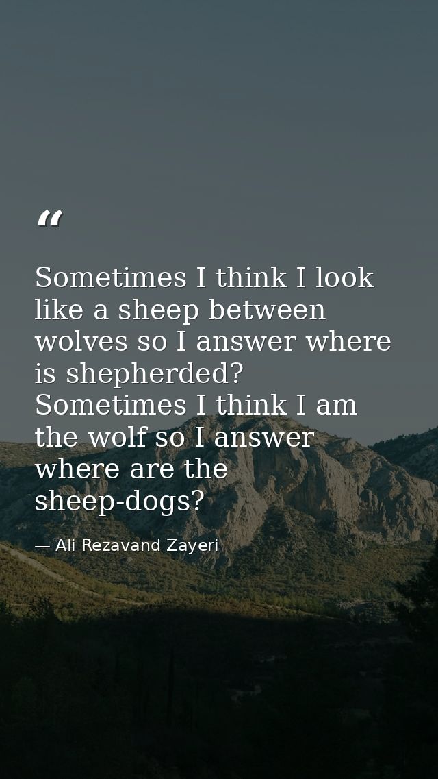 Sometimes I think I look like a sheep between wolves so I answer where is shepherded? Sometimes I think I am the wolf so — Ali Rezavand Zayeri
