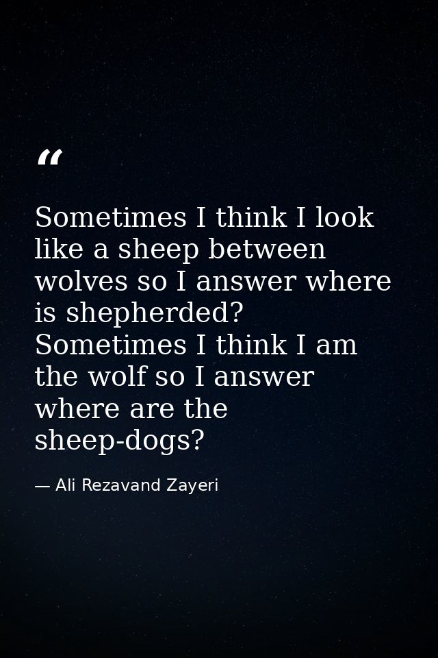 Sometimes I think I look like a sheep between wolves so I answer where is shepherded? Sometimes I think I am the wolf so — Ali Rezavand Zayeri