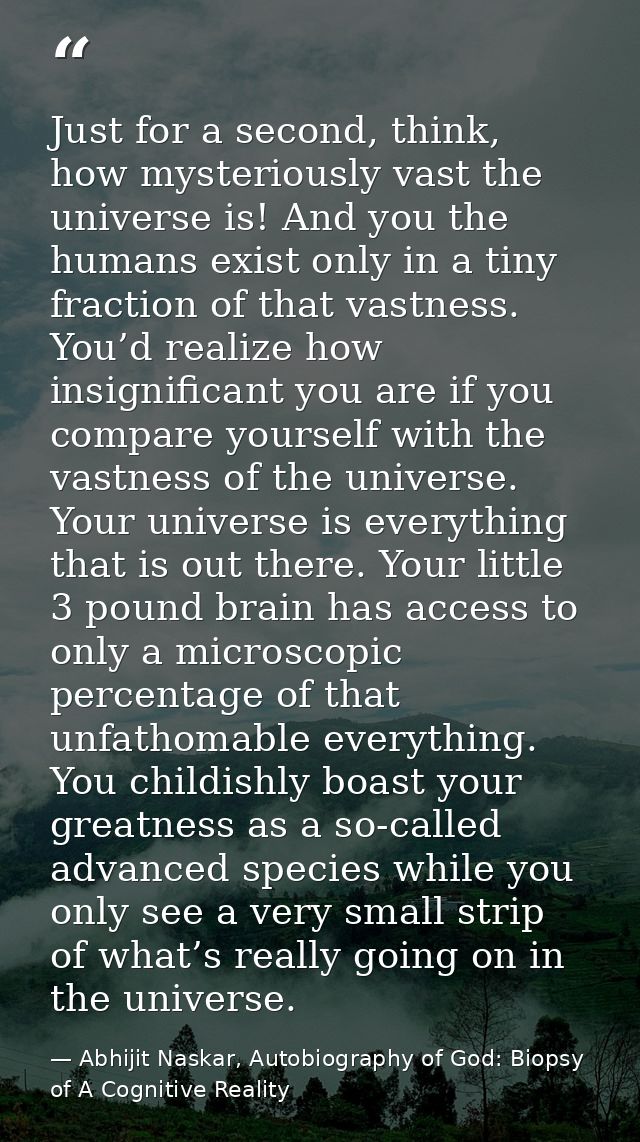 Just for a second, think, how mysteriously vast the universe is! And you the humans exist only in a tiny fraction of tha — Abhijit Naskar, Autobiography of God: Biopsy of A Cognitive Reality