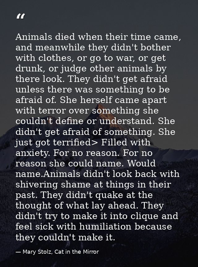 Animals died when their time came, and meanwhile they didn't bother with clothes, or go to war, or get drunk, or judge o — Mary Stolz, Cat in the Mirror