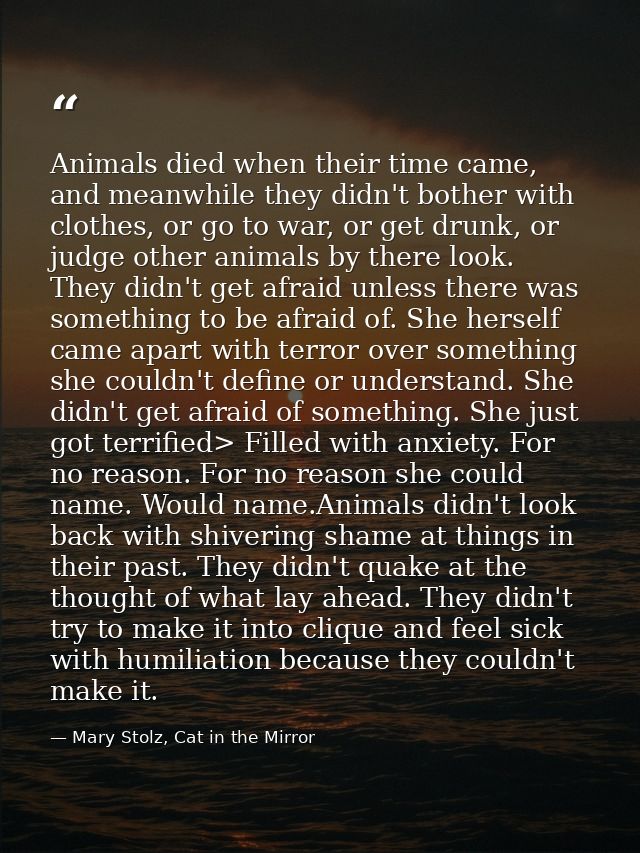 Animals died when their time came, and meanwhile they didn't bother with clothes, or go to war, or get drunk, or judge o — Mary Stolz, Cat in the Mirror