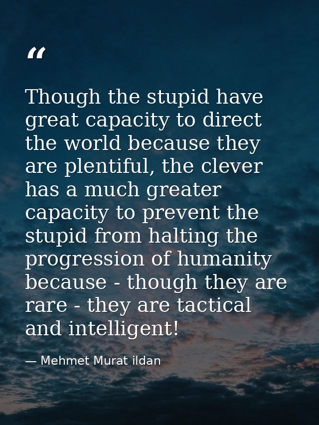 Though the stupid have great capacity to direct the world because they are plentiful, the clever has a much greater capa — Mehmet Murat ildan