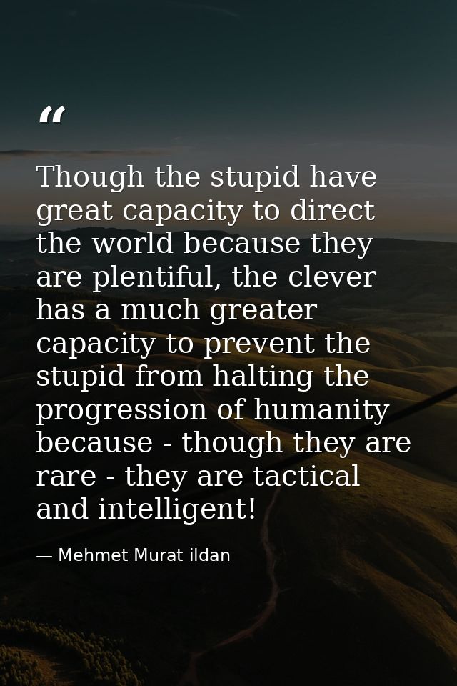 Though the stupid have great capacity to direct the world because they are plentiful, the clever has a much greater capa — Mehmet Murat ildan