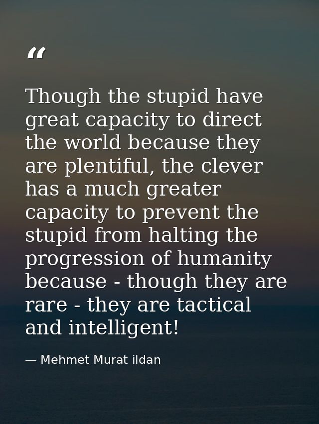 Though the stupid have great capacity to direct the world because they are plentiful, the clever has a much greater capa — Mehmet Murat ildan