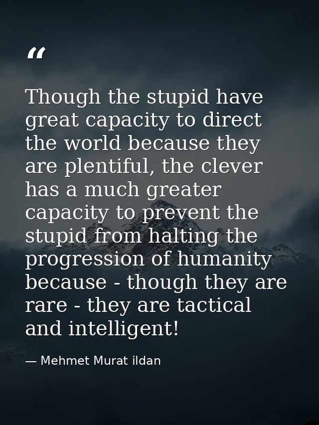 Though the stupid have great capacity to direct the world because they are plentiful, the clever has a much greater capa — Mehmet Murat ildan