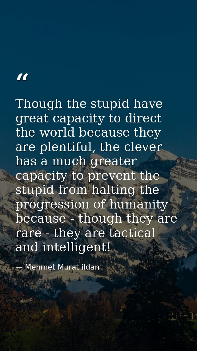 Though the stupid have great capacity to direct the world because they are plentiful, the clever has a much greater capa — Mehmet Murat ildan