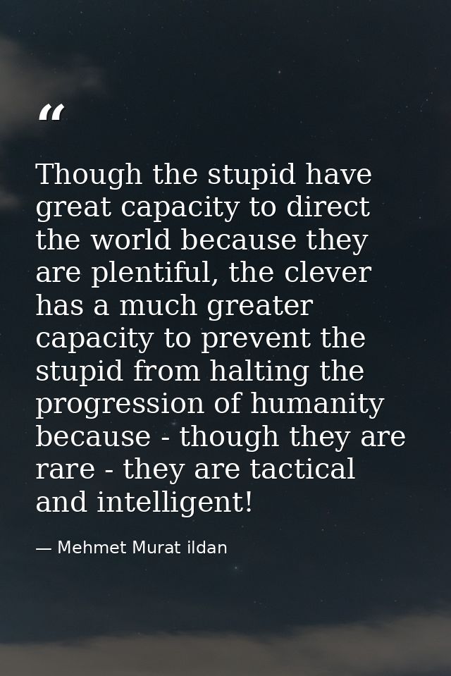 Though the stupid have great capacity to direct the world because they are plentiful, the clever has a much greater capa — Mehmet Murat ildan