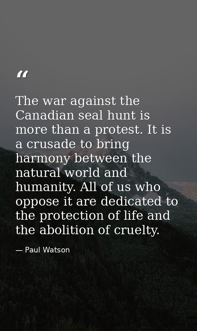The war against the Canadian seal hunt is more than a protest. It is a crusade to bring harmony between the natural worl — Paul Watson