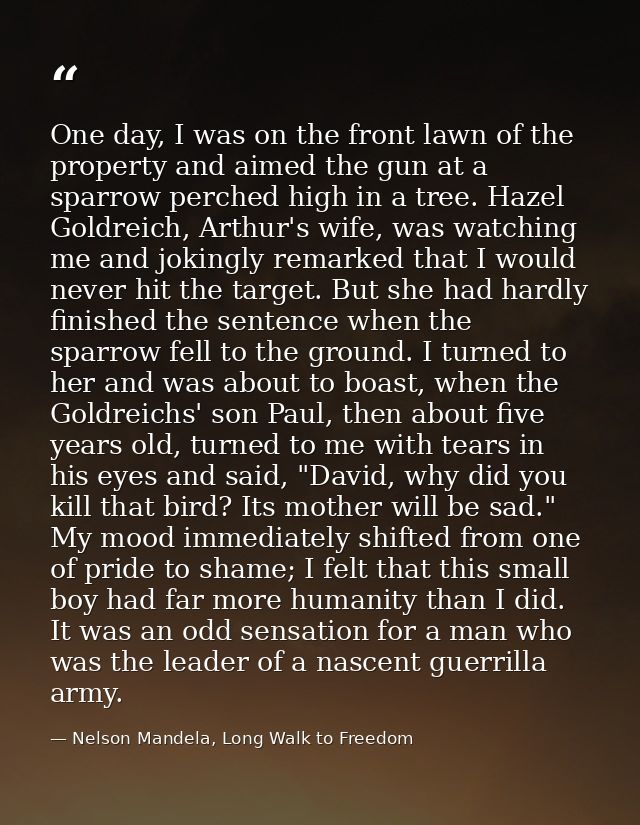 One day, I was on the front lawn of the property and aimed the gun at a sparrow perched high in a tree. Hazel Goldreich, — Nelson Mandela, Long Walk to Freedom