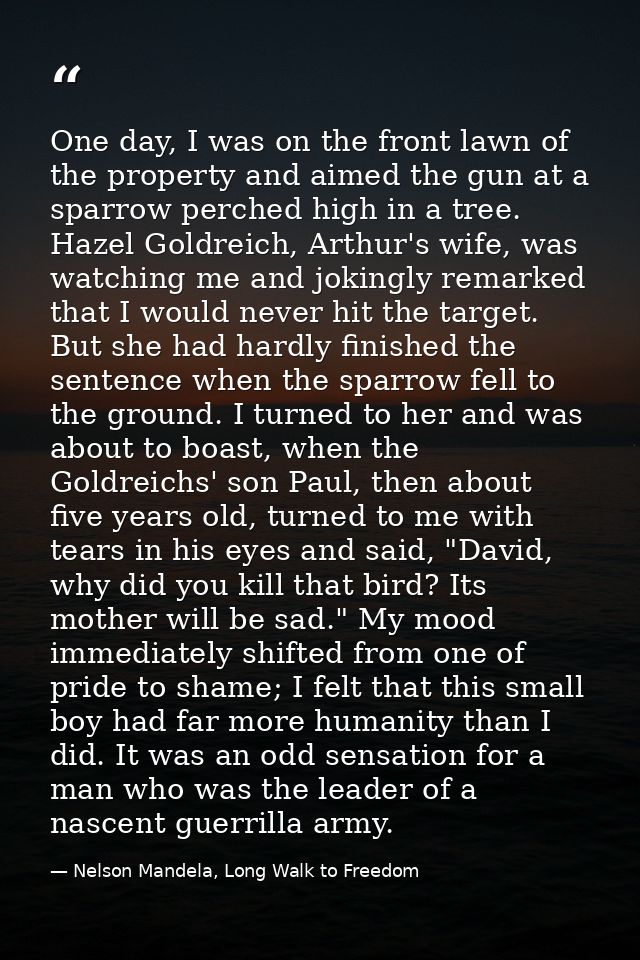 One day, I was on the front lawn of the property and aimed the gun at a sparrow perched high in a tree. Hazel Goldreich, — Nelson Mandela, Long Walk to Freedom