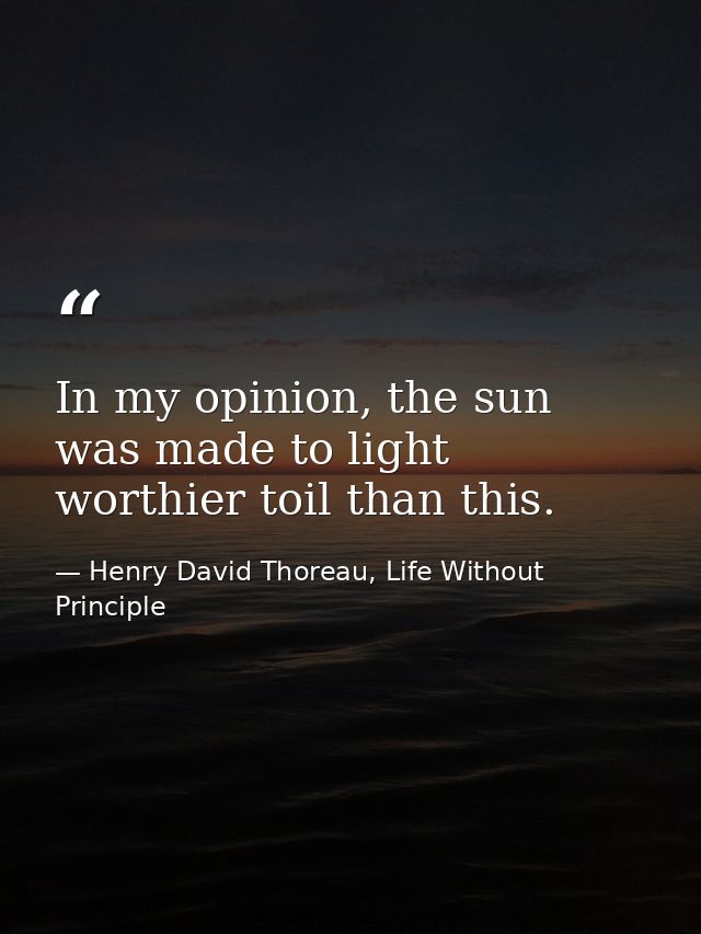 In my opinion, the sun was made to light worthier toil than this. — Henry David Thoreau, Life Without Principle