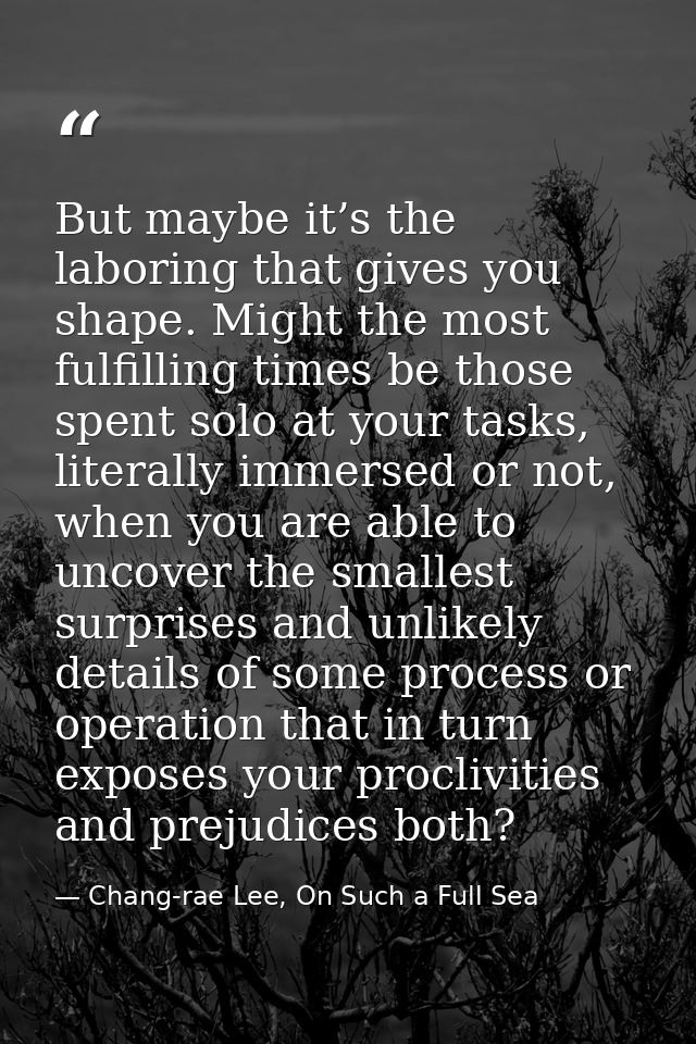 But maybe it’s the laboring that gives you shape. Might the most fulfilling times be those spent solo at your tasks, lit — Chang-rae Lee, On Such a Full Sea