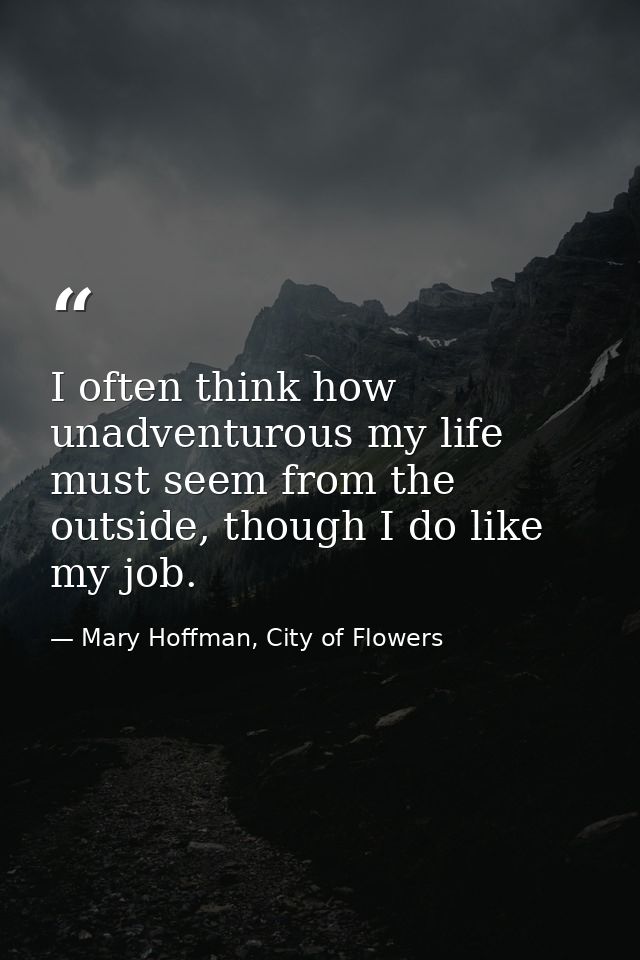 I often think how unadventurous my life must seem from the outside, though I do like my job. — Mary Hoffman, City of Flowers