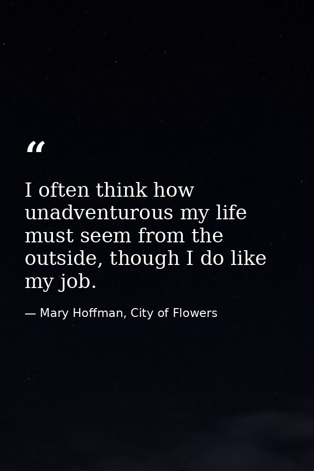 I often think how unadventurous my life must seem from the outside, though I do like my job. — Mary Hoffman, City of Flowers