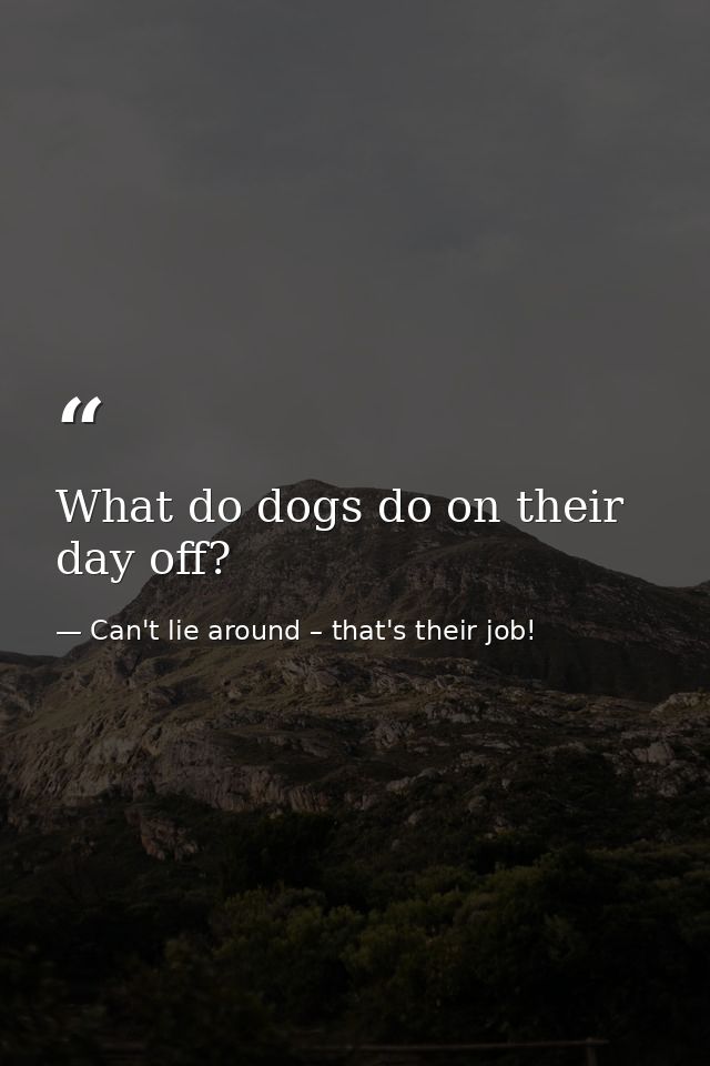What do dogs do on their day off? — Can't lie around – that's their job!