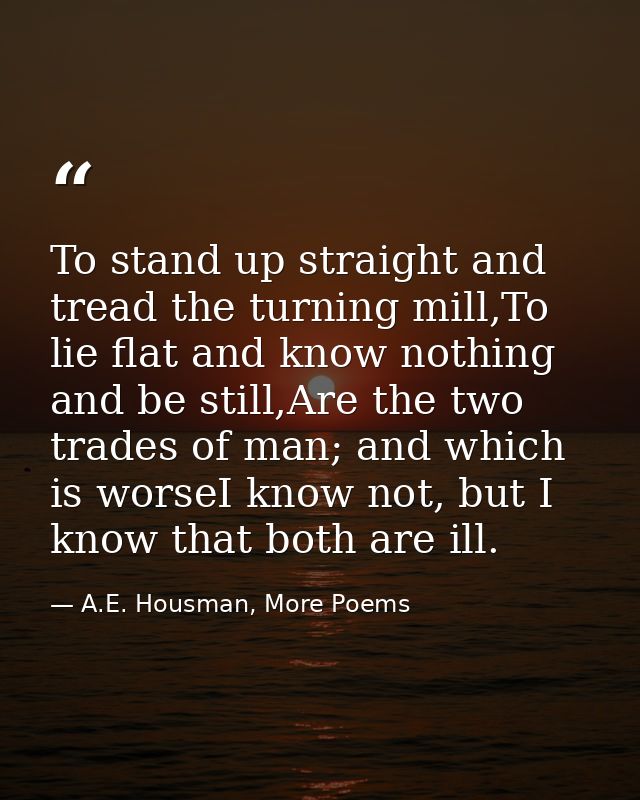 To stand up straight and tread the turning mill,To lie flat and know nothing and be still,Are the two trades of man; and — A.E. Housman, More Poems